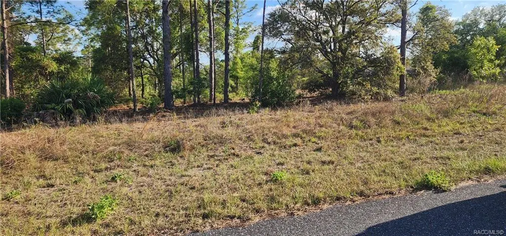3420 W Hayward LN, Citrus Springs, FL 34433