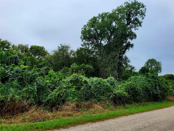 446 Riverside DR, Bastrop, TX 78602