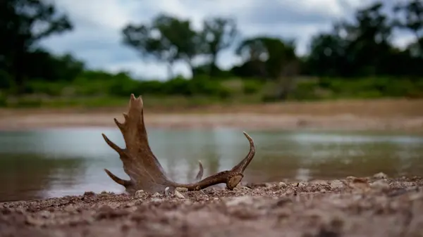 TBD El Rincon RD, Mountain Home, TX 78058