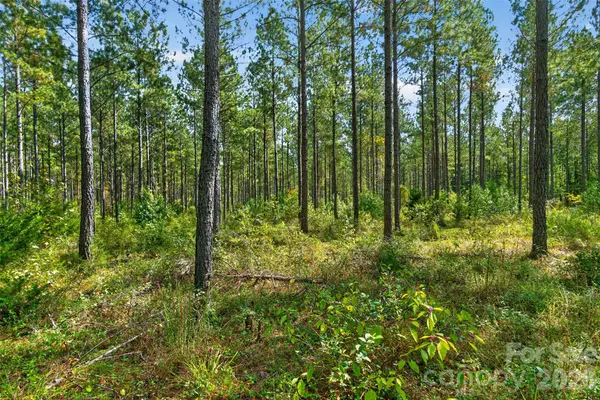 0000 Garvin RD #1, York, SC 29726
