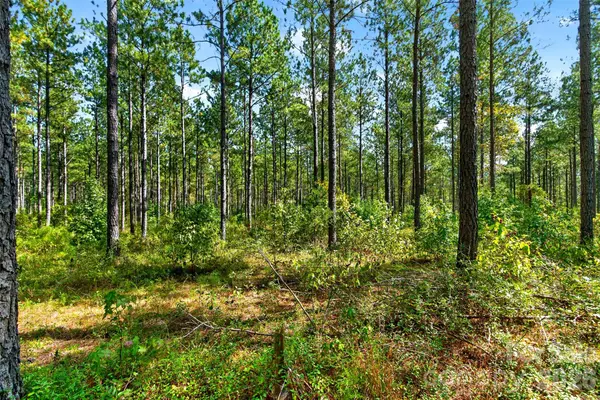 0000 Garvin RD #1, York, SC 29726