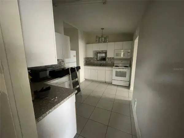 3411 W GRACE ST, Tampa, FL 33607