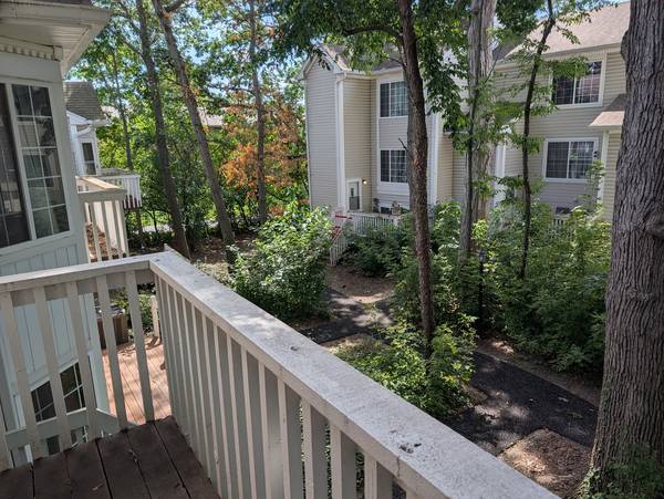 293 W Treehouse LN, Round Lake, IL 60073