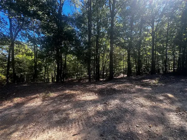 310 White Fox LN, Broken Bow, OK 74728