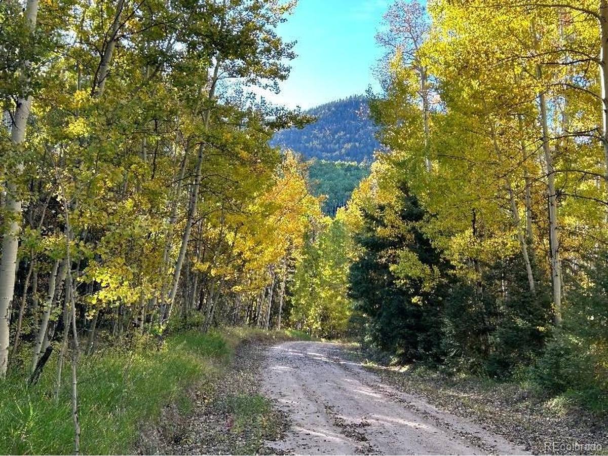 5174 Mo, Fort Garland, CO 81133