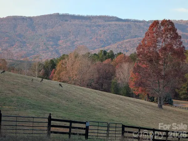 0 River Park LN, Mill Spring, NC 28756