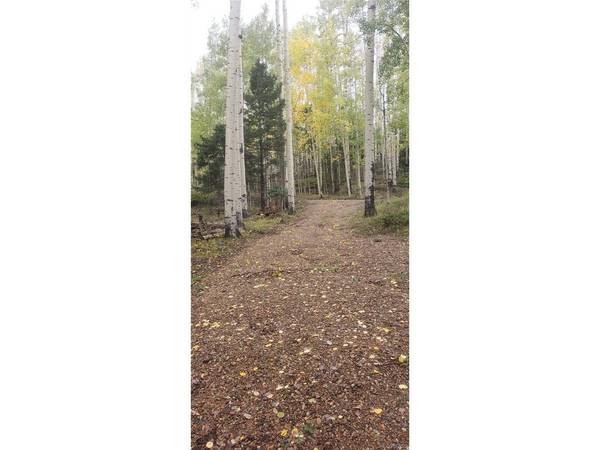 5174 Mo, Fort Garland, CO 81133