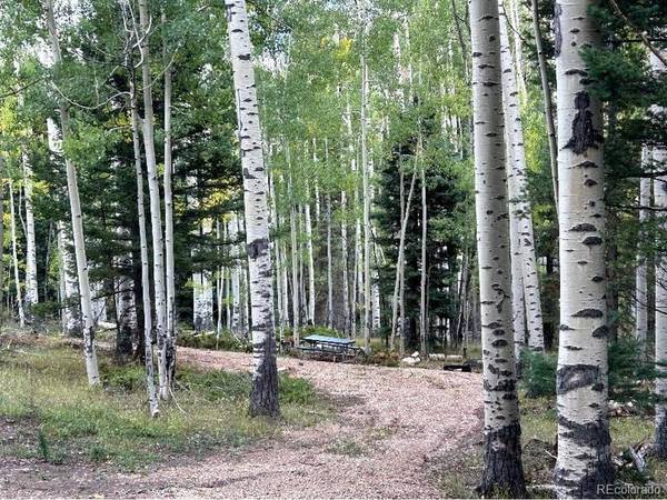 5174 Mo, Fort Garland, CO 81133