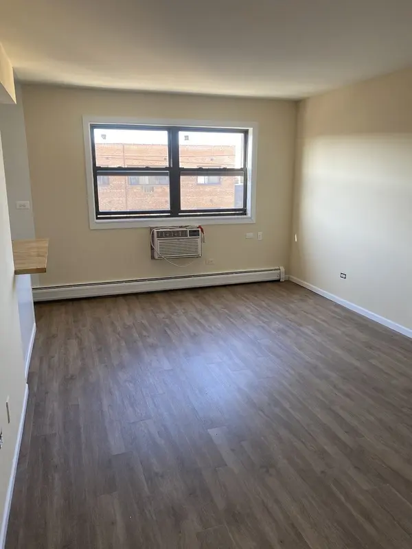 1025 W HOLLYWOOD AVE #406, Chicago, IL 60660