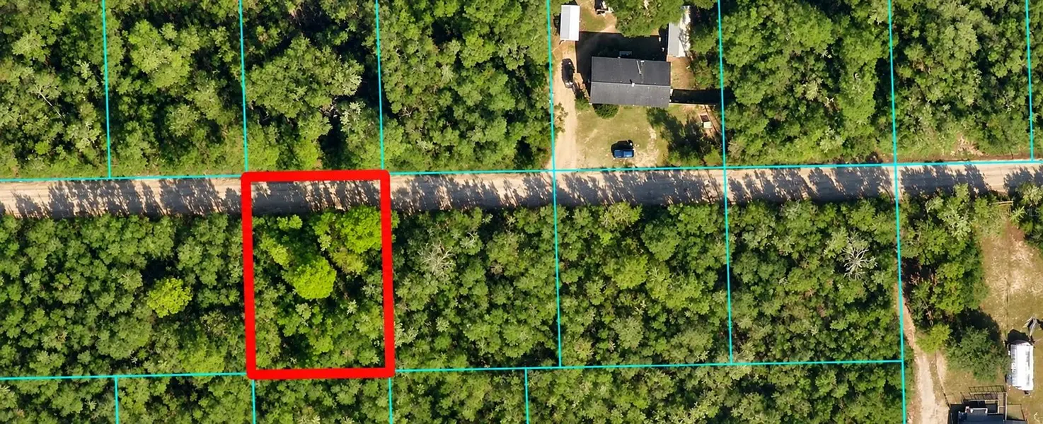 NE 233 LN, Fort Mc Coy, FL 32134