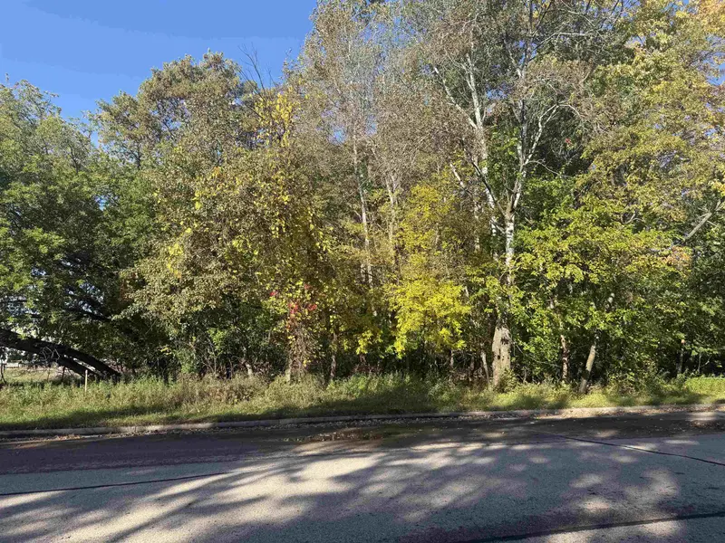 BROWN ST, Peshtigo, WI 54157