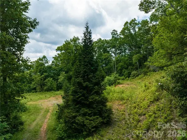 3867 Parris Branch RD #Tract B, Sylva, NC 28779