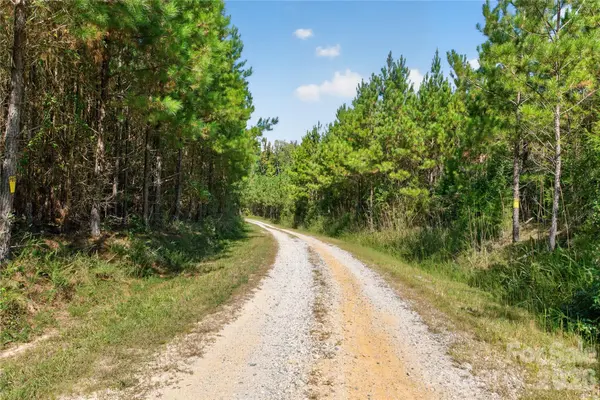 0000 Narrow Bridge RD #1, Chester, SC 29706
