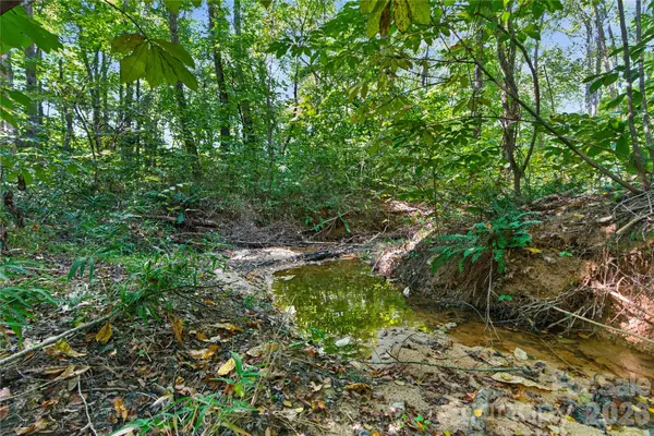 0000 Narrow Bridge RD #1, Chester, SC 29706