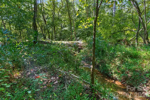 0000 Narrow Bridge RD #1, Chester, SC 29706