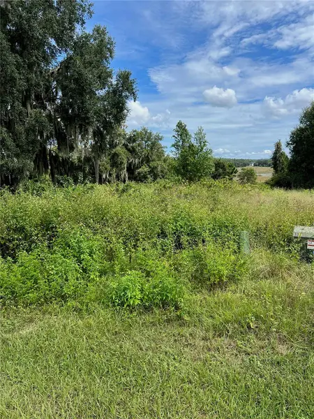 475 LONG AND WINDING RD, Howey In The Hills, FL 34737
