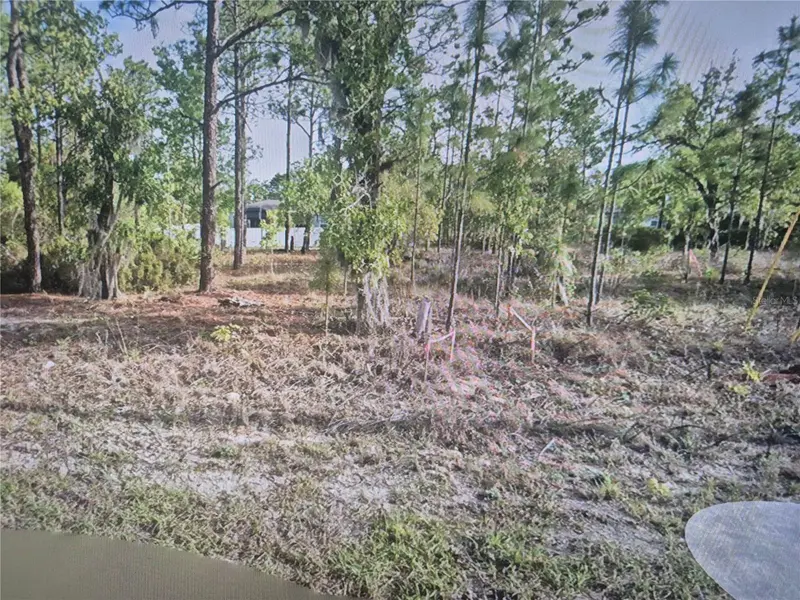 2651 W BRAVURA DR, Citrus Springs, FL 34433