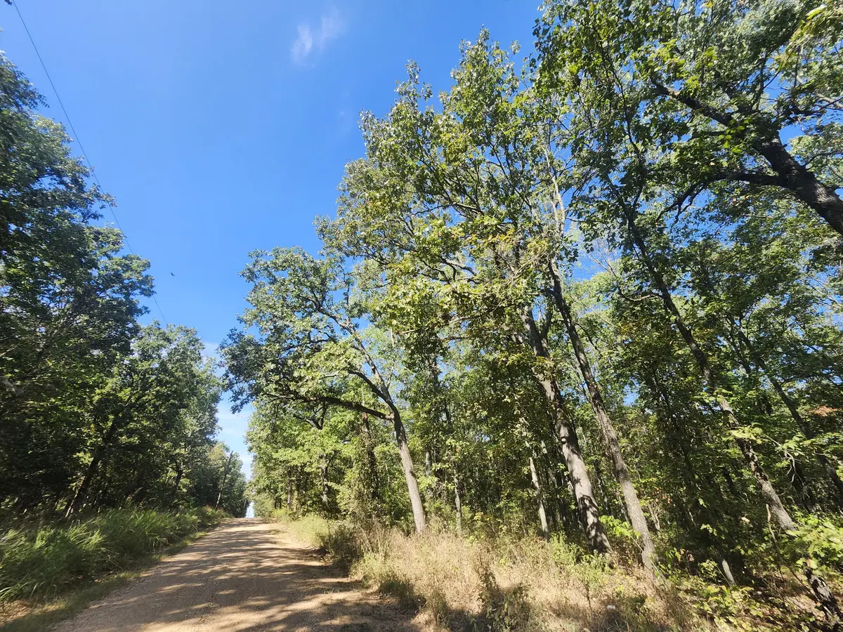 13239 County Road 290, Flemington, MO 65650
