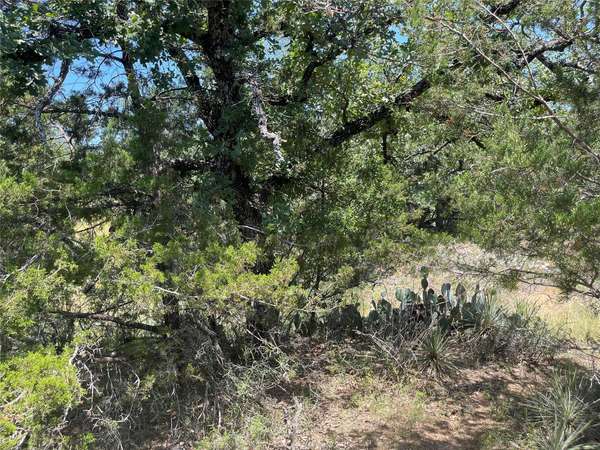 TBD W. Castlelakes DR, Granite Shoals, TX 78654