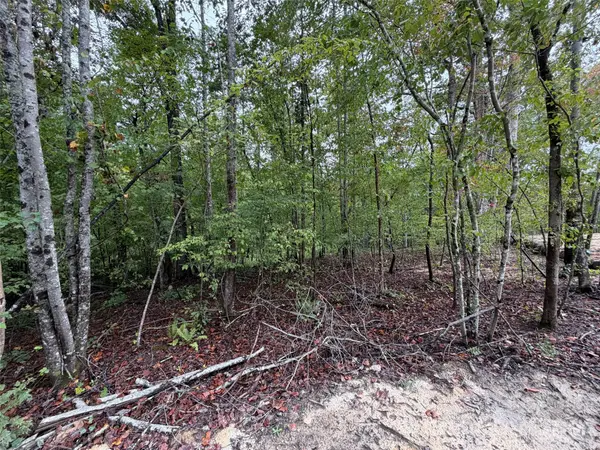 V/L W V THOMPSON RD, Rutherfordton, NC 28139