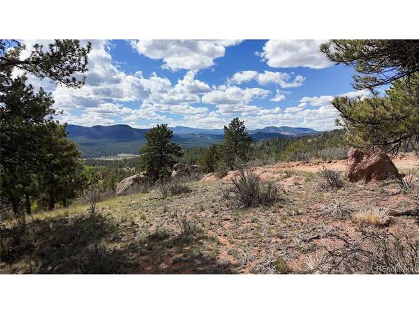 95 Navajo, Florissant, CO 80816