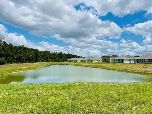 4296 BLACKSHEAR CT, Clermont, FL 34714
