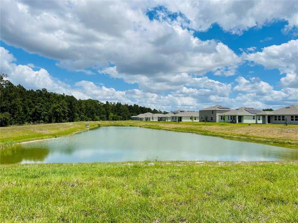 4296 BLACKSHEAR CT, Clermont, FL 34714
