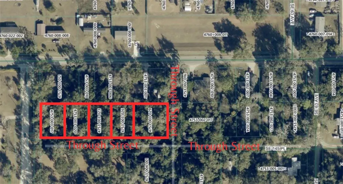 SE 145TH PLACE, Summerfield, FL 34491