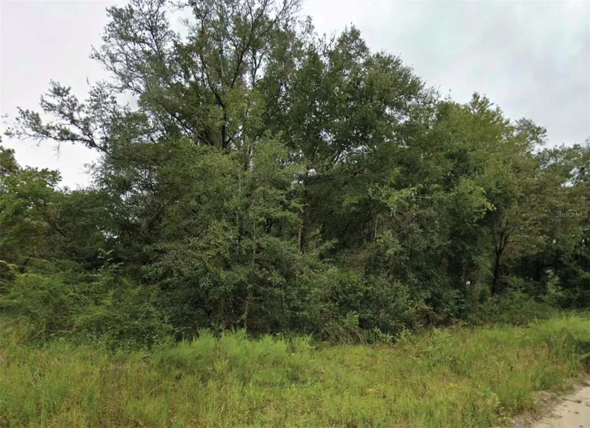 NE 2ND PL, Williston, FL 32696