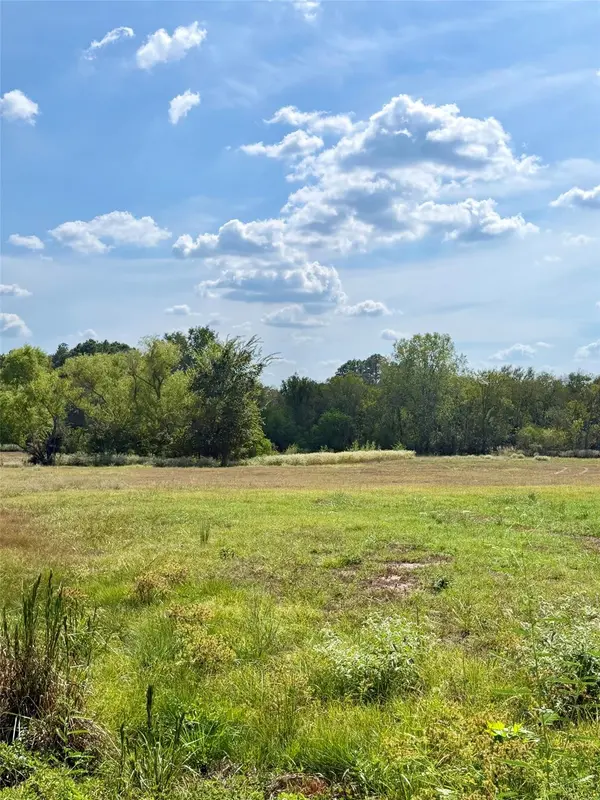 00 Richmond Street, Mcdade, TX 78650