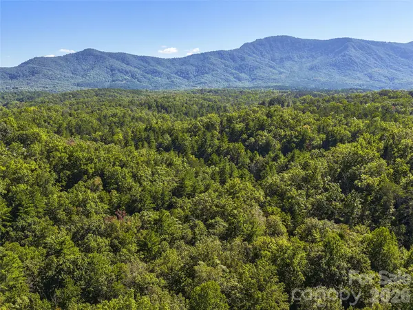 Lot # 17A Ostin Creek TRL, Mill Spring, NC 28756