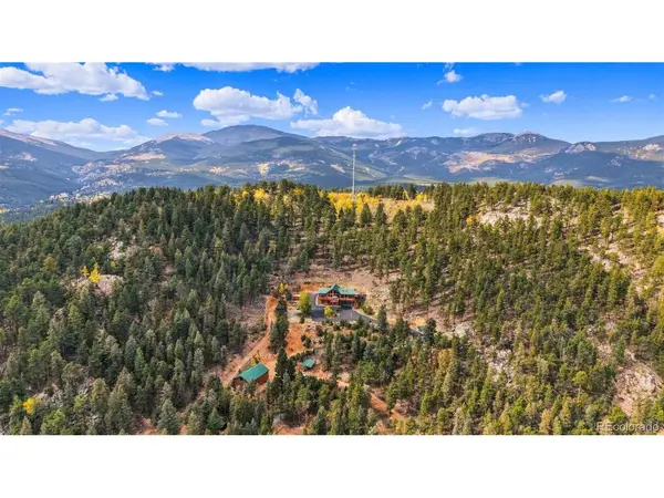 407 Old Sawmill, Bailey, CO 80421