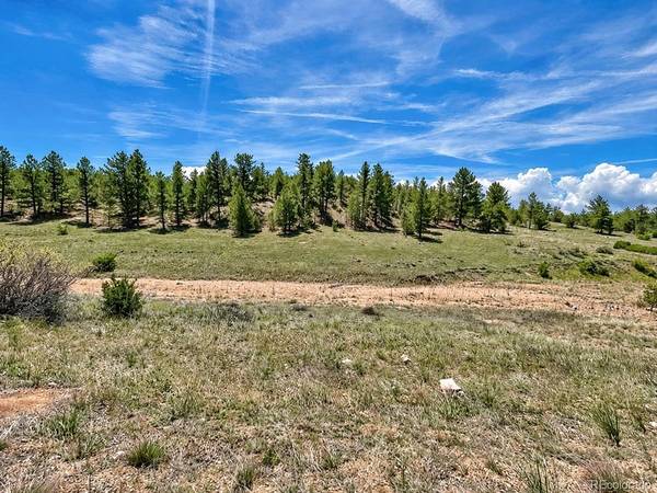 103 Cheyenne, Cotopaxi, CO 81223