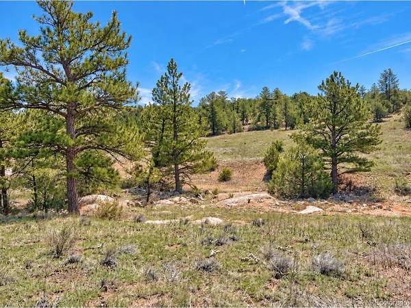 103 Cheyenne, Cotopaxi, CO 81223
