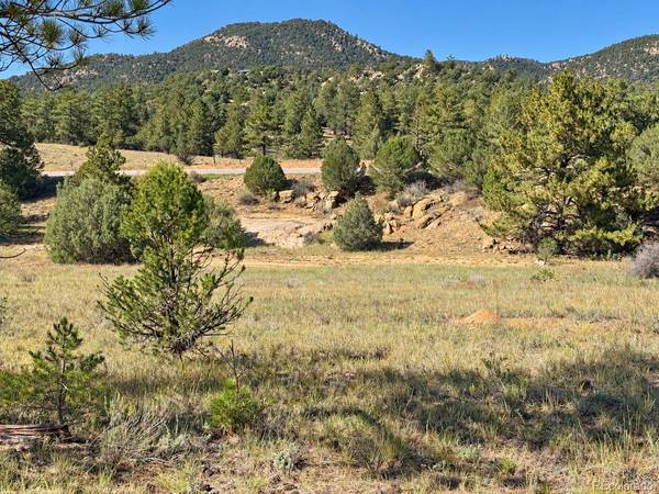 103 Cheyenne, Cotopaxi, CO 81223