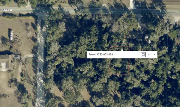 SE 145TH PLACE, Summerfield, FL 34491