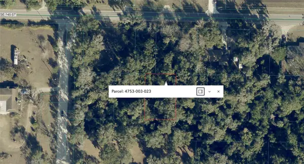 SE 145TH PLACE, Summerfield, FL 34491