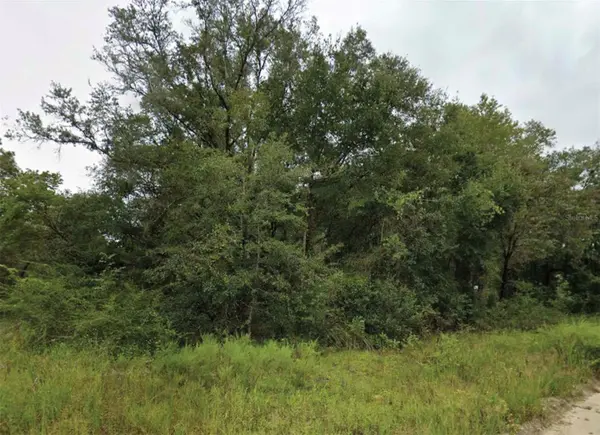 NE 2ND PL, Williston, FL 32696