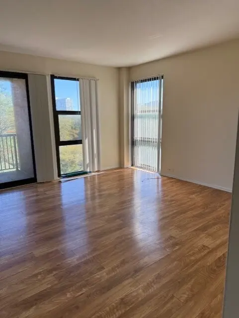 2921 S Michigan AVE #517, Chicago, IL 60616