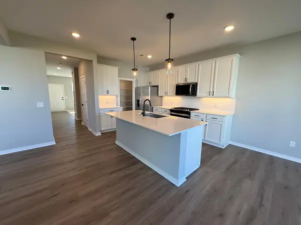 15165 Amber Fields BLVD, Rosemount, MN 55068