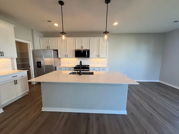 15165 Amber Fields BLVD, Rosemount, MN 55068