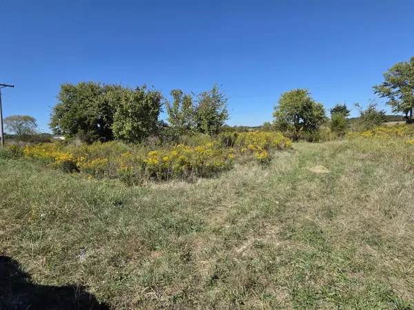 857 Redbud ST #Tract B, Rogersville, MO 65742