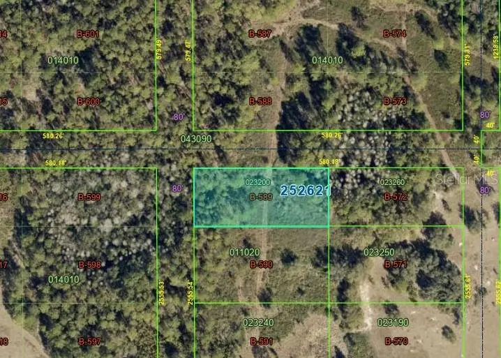 25-26-21-000000-023200, Polk City, FL 33868