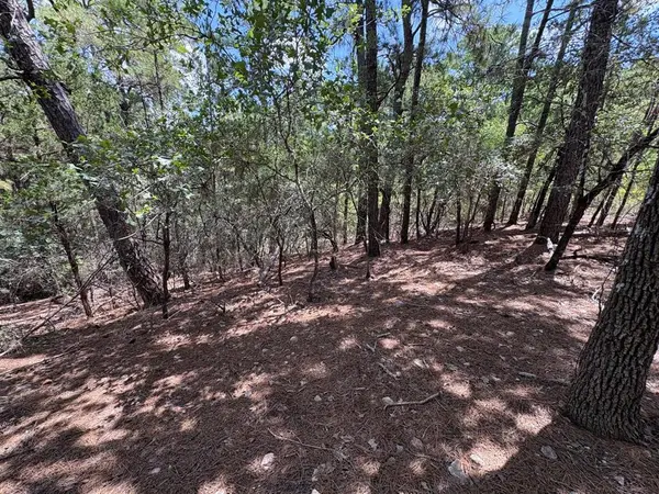 120 Molokini DR, Bastrop, TX 78602