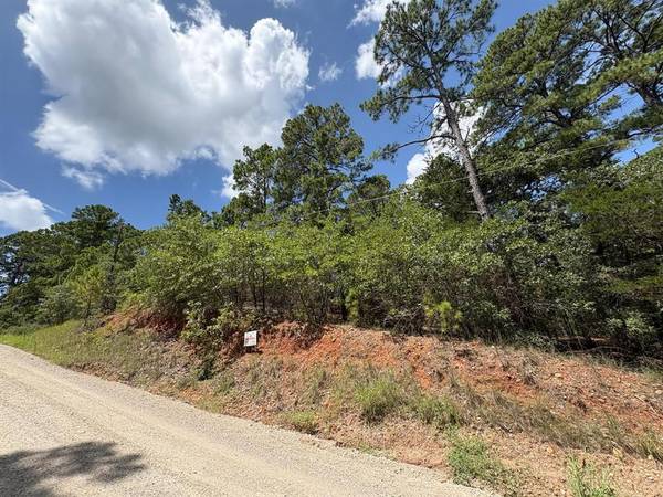 120 Molokini DR, Bastrop, TX 78602