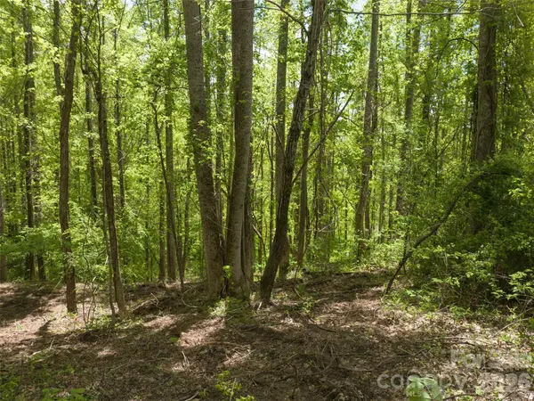 26 Fall Mountain RD #58, Asheville, NC 28803