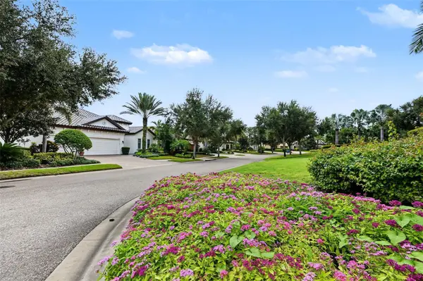 1366 VIA VERDI DR, Palm Harbor, FL 34683