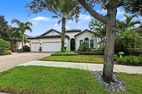 1366 VIA VERDI DR, Palm Harbor, FL 34683