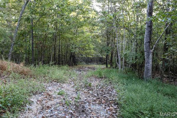 0 Tanglewood, Poplar Bluff, MO 63901