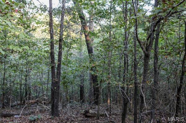 0 Tanglewood, Poplar Bluff, MO 63901